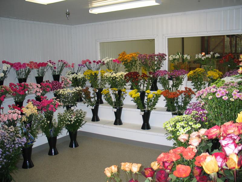 Florexpo